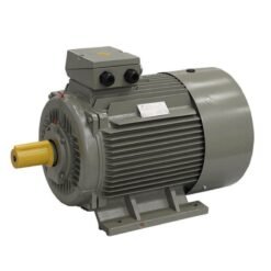 Roots Blower Motor